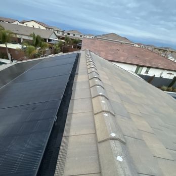 Pigeon Police - Wildlife Control Near Me - Roseville, California