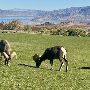 Hemenway Valley Park - The view - Recreation Centers Near Me - Boulder City, Nevada Hemenway Valley Park - The view - Recreation Centers Near Me - Boulder City, Nevada