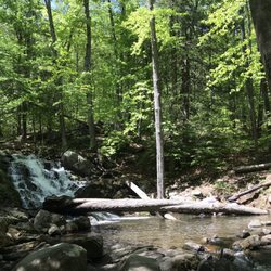 Great Hollow Nature Preserve & Ecological Research Center