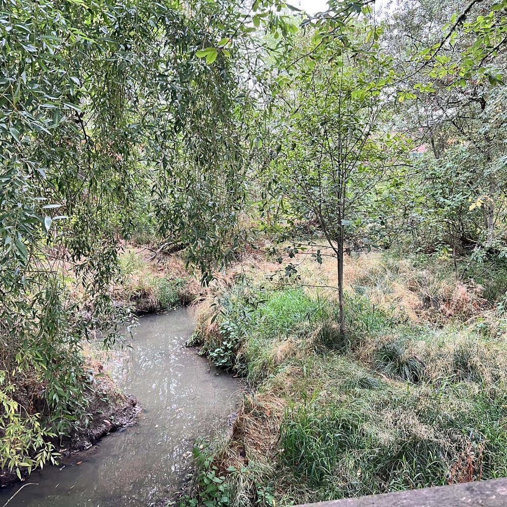 Willow Creek Nature Park - Willow Creek Greenway - Parks Near Me - Beaverton, Oregon Willow Creek Nature Park - Willow Creek Greenway - Parks Near Me - Beaverton, Oregon
