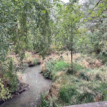 Willow Creek Nature Park - Willow Creek Greenway - Parks Near Me - Beaverton, Oregon Willow Creek Nature Park - Willow Creek Greenway - Parks Near Me - Beaverton, Oregon