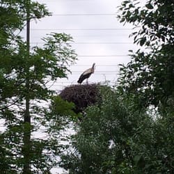 Förderverein Naturschutzstation Malchow