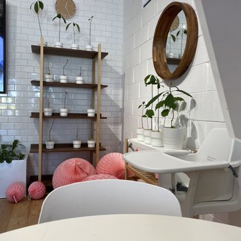 The Goblin - Avocado plants you can purchase - Sushi Bars Near Me - Detroit, Michigan The Goblin - Avocado plants you can purchase - Sushi Bars Near Me - Detroit, Michigan