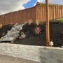 Photo of Empire Tree And Landscape Service