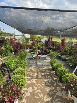 MEADOWS FARMS NURSERIES - WINCHESTER - TEMP. CLOSED - Updated January