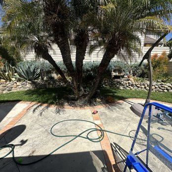 Malpartida Tree Service - Tree Services Near Me Malpartida Tree Service - Tree Services Near Me
