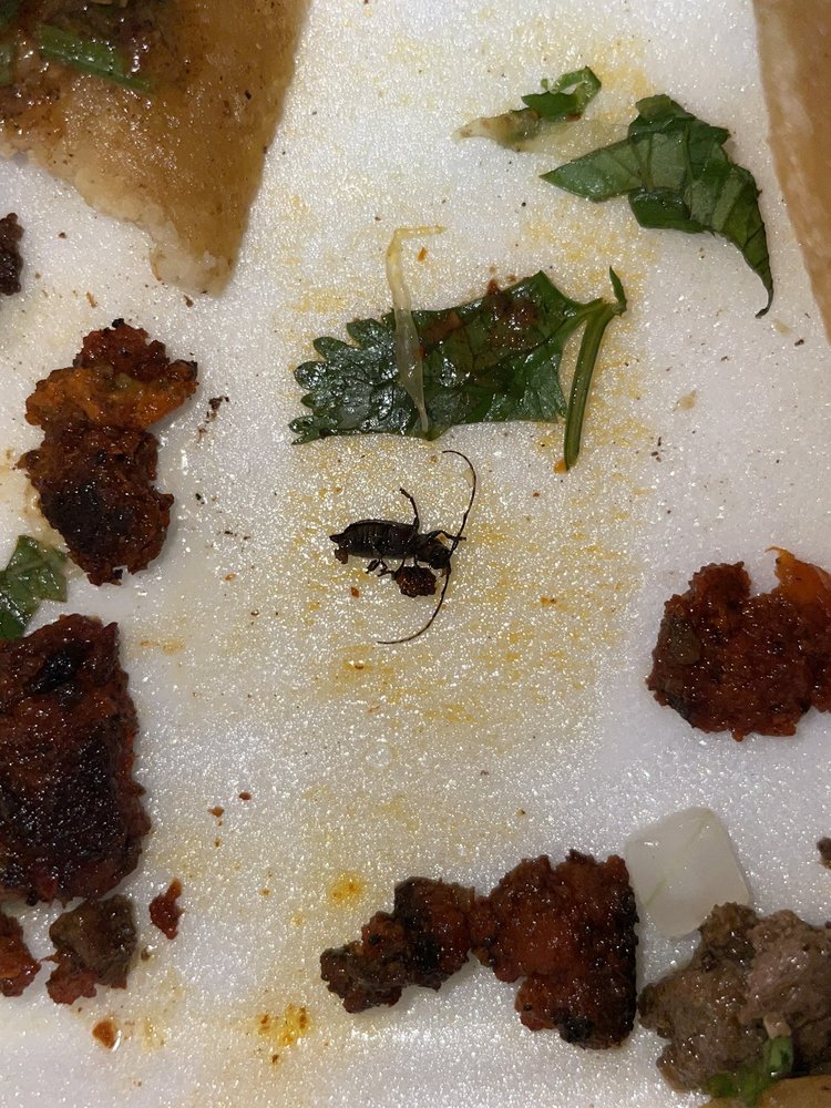 TACOS EL GUERO Updated September 2024 19 Photos & 21 Reviews 4656