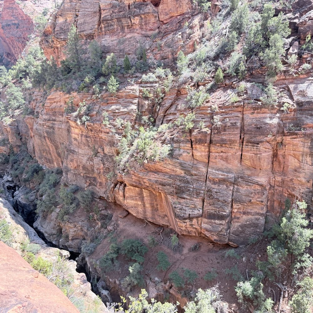 Observation Point - Hiking Near Me - Springdale, Utah Observation Point - Hiking Near Me - Springdale, Utah