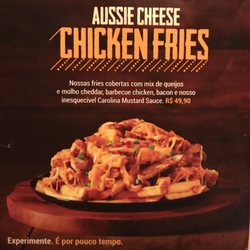 Outback Steakhouse - Aussie Cheese Chicken Fries
