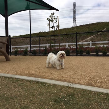 Vila Borba Park - Dog Parks Near Me - Chino Hills, California Vila Borba Park - Dog Parks Near Me - Chino Hills, California