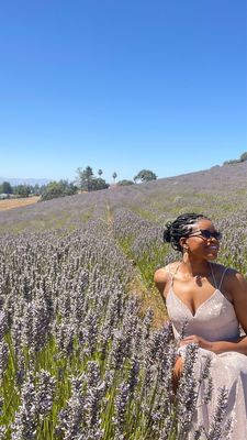 Monte-Bellaria di California by null