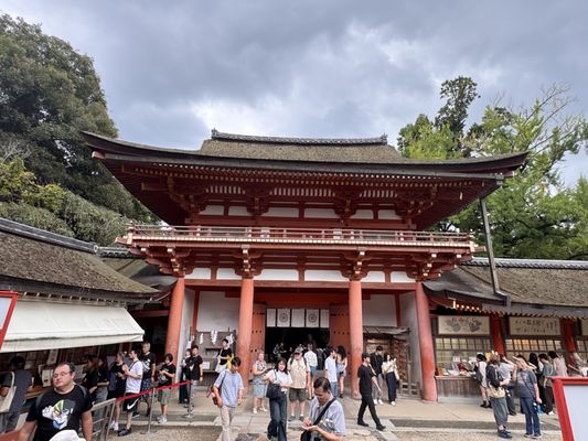 Kasugataisha Shrine by null