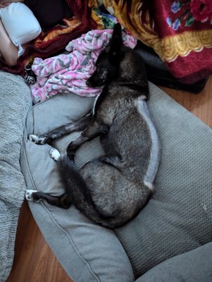 Barkyard n' Brews by null