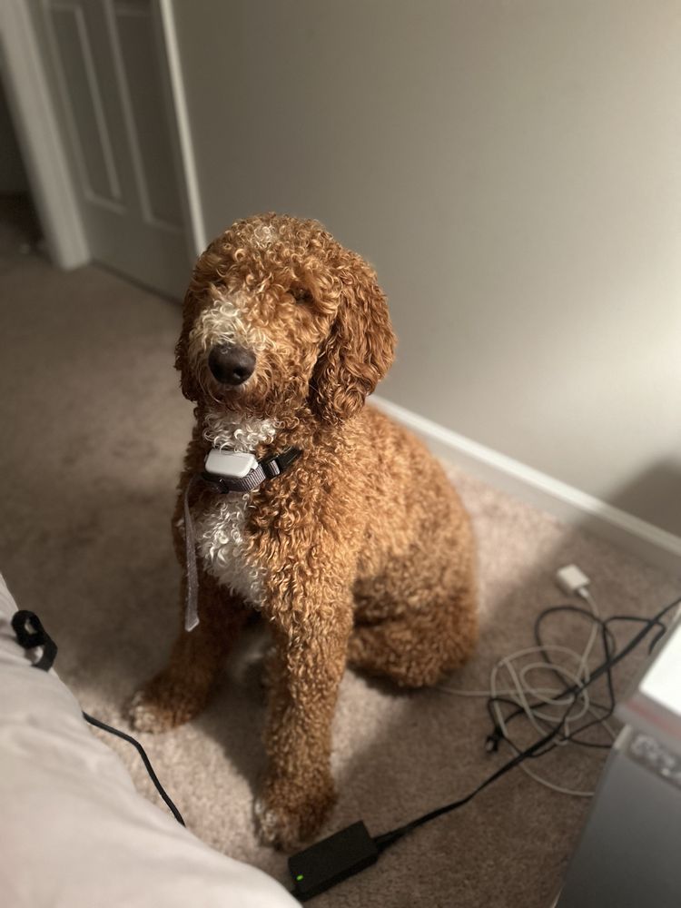 YOLANDA PENA MEDINA KELLER WILLIAMS CHERRY HILL Updated April 2024