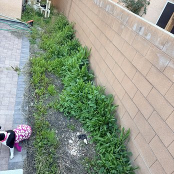 Ramon's Yard Maintenance - Landscaping Near Me - Las Vegas, Nevada Ramon's Yard Maintenance - Landscaping Near Me - Las Vegas, Nevada