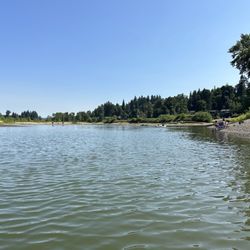 Cedaroak Boat Ramp - Great spot for swimming and SUP