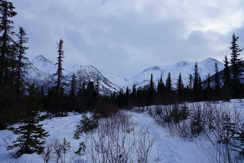 Ptarmigan Valley Trail - equestrian in Anchorage, AK