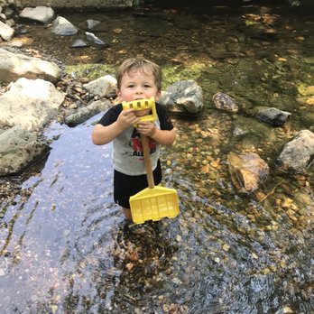 Bluemont Park - In the creek - Parks Near Me - Arlington, Virginia