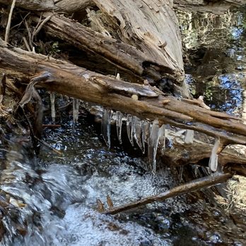 Green Jeep Tours - Historical Tours Near Me - Estes Park, Colorado