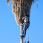 Photo of Tree Specialist Dan Sedlar