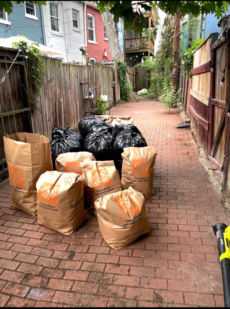 Reyes Solutions - tree service in Washington, DC, DC