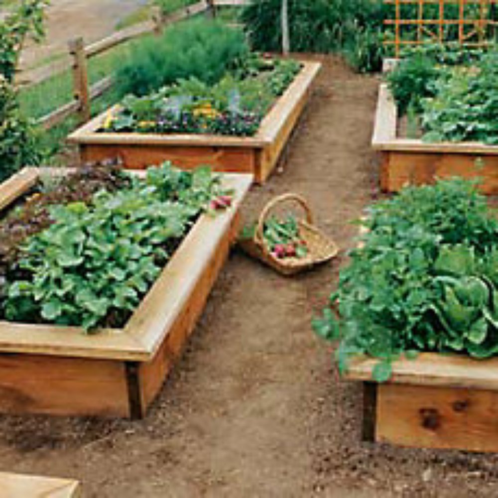 Top 10 Best Nurseries & Gardening near Poplar Tent Rd, Concord, NC 28027 -  November 2023 - Yelp