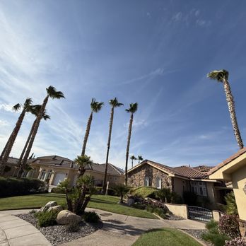 Mojave Field Management - Palm Tree pruning in Apple Valley - Tree Services Near Me Mojave Field Management - Palm Tree pruning in Apple Valley - Tree Services Near Me