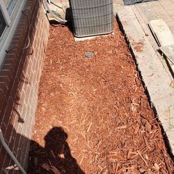 Wild Card Lawn & More