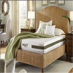 Mattress Dispensary