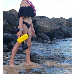 Sensational Sea Adventures