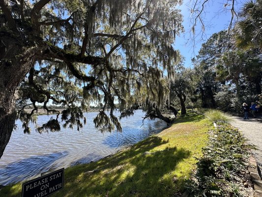 Magnolia Plantation and Gardens by null