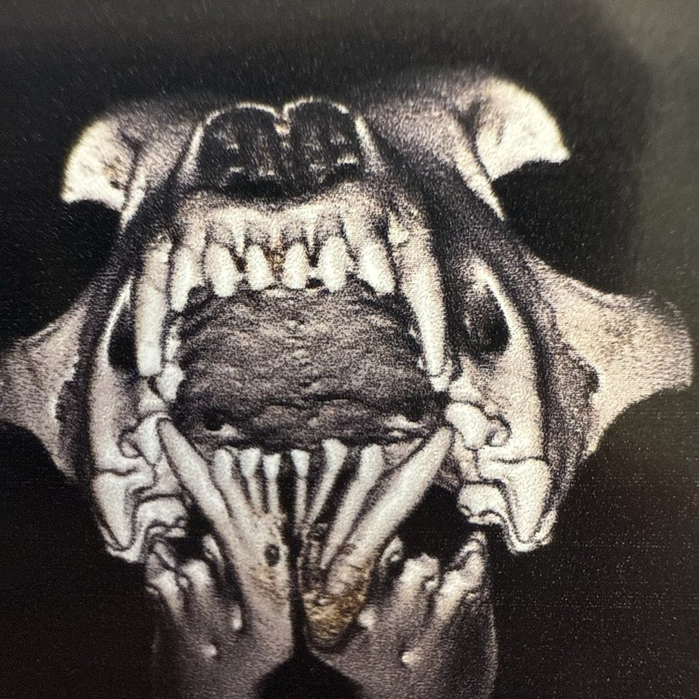 Dentistry For Animals - Veterinarians Near Me - Aptos, California Dentistry For Animals - Veterinarians Near Me - Aptos, California