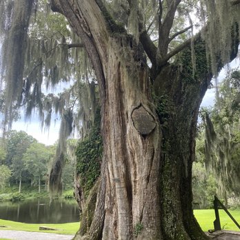 Middleton Place - Museums Near Me - Charleston, South Carolina Middleton Place - Museums Near Me - Charleston, South Carolina