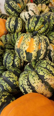Musso Farms by null