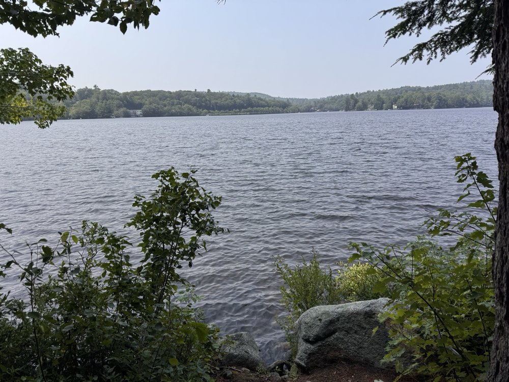 Social spots from Phillips Memorial Preserve