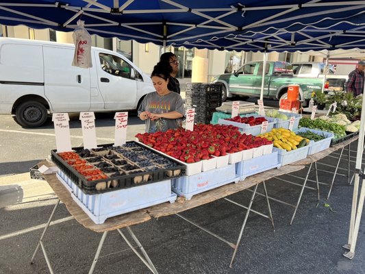 Otay Ranch Farmers Market by null