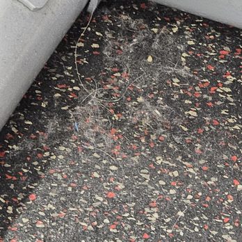 MAXX FITNESS CLUBZZ - Updated January 2026 - 61 Photos & 23 Reviews