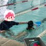 Photo of Hippo Swim Club