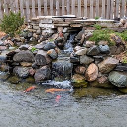 Waterfall and pond with koi Waterfall and pond with koi