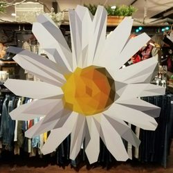 the DAISY