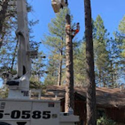 Crown Tree Service