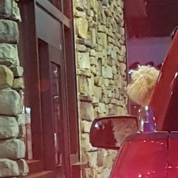 Look at that good boy waiting on his Jack's order.
