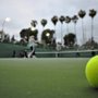 Photo of Topspinbaby Tennis