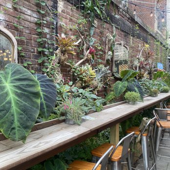 PHS Pop Up Garden - Manayunk - Cocktail Bars Near Me - Philadelphia, Pennsylvania PHS Pop Up Garden - Manayunk - Cocktail Bars Near Me - Philadelphia, Pennsylvania