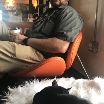 Mac Tabby Cat Cafe - Themed Cafes Near Me - Charlotte, North Carolina