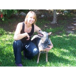 The Complete Pet Company