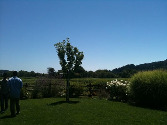 Dutcher Crossing Winery by null
