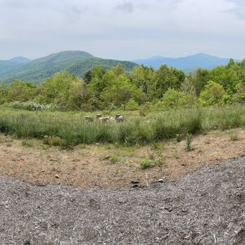 Greybeard Rentals - Vacation Rental Agents Near Me - Black Mountain, North Carolina