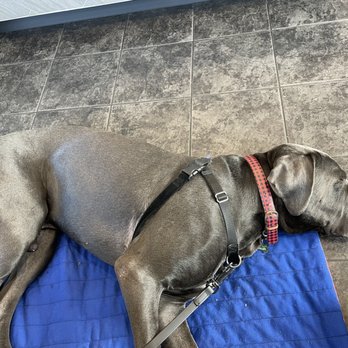 Crack'd Kitchen and Coffee - Pet Friendly - Breakfast & Brunch Near Me - Salem, New Hampshire