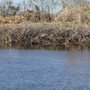 Photo of Central Florida Airboat Tours